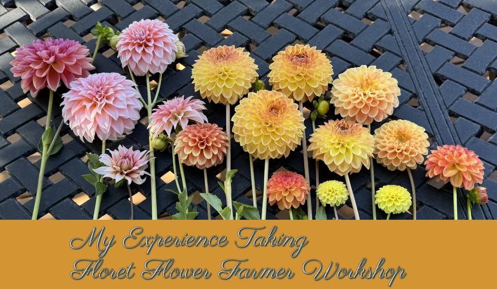 Floret Flowers Workshop